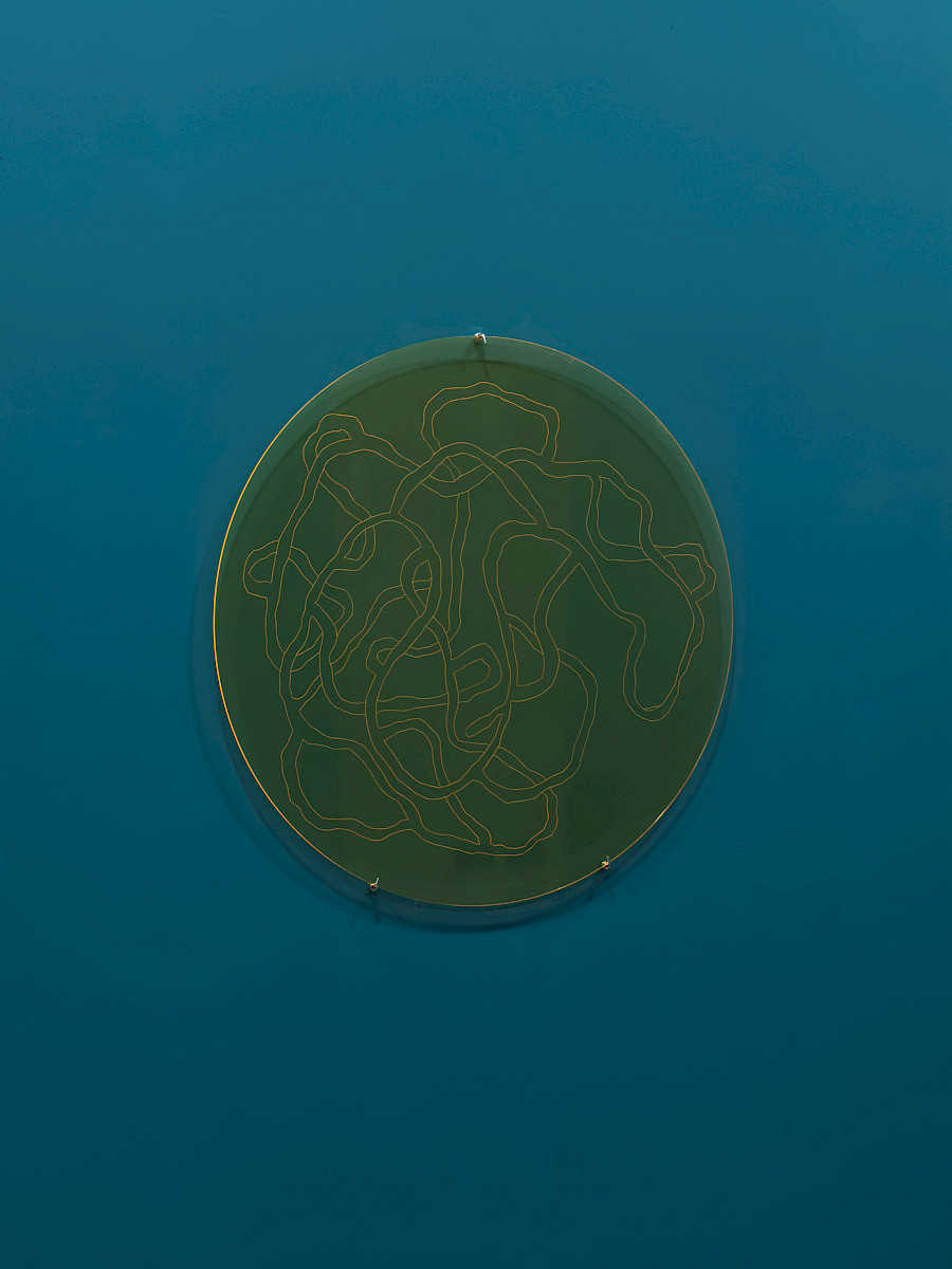 Permeable boundaries 1