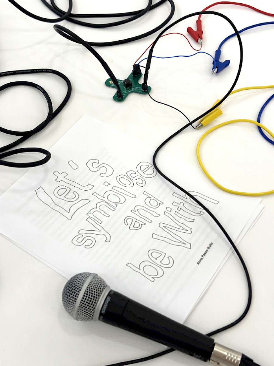 Let's Symbiose and Be With 2