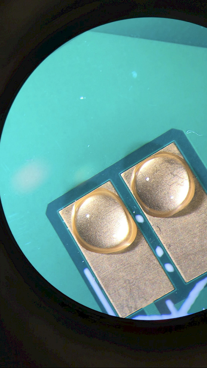 Let's Symbiose and Be With 1