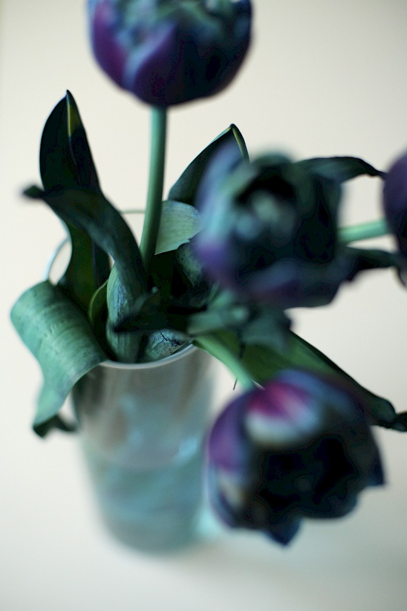 Nature and Circum&shy;stance 1