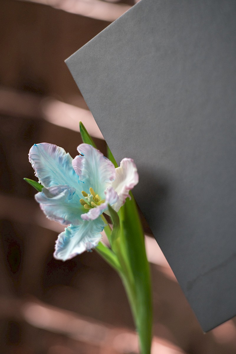 Nature and Circum&shy;stance 2