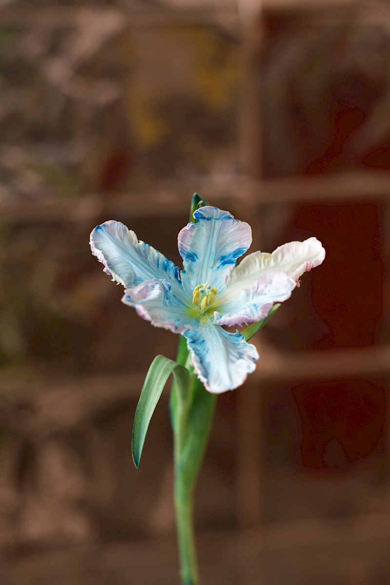 Nature and Circum&shy;stance 1