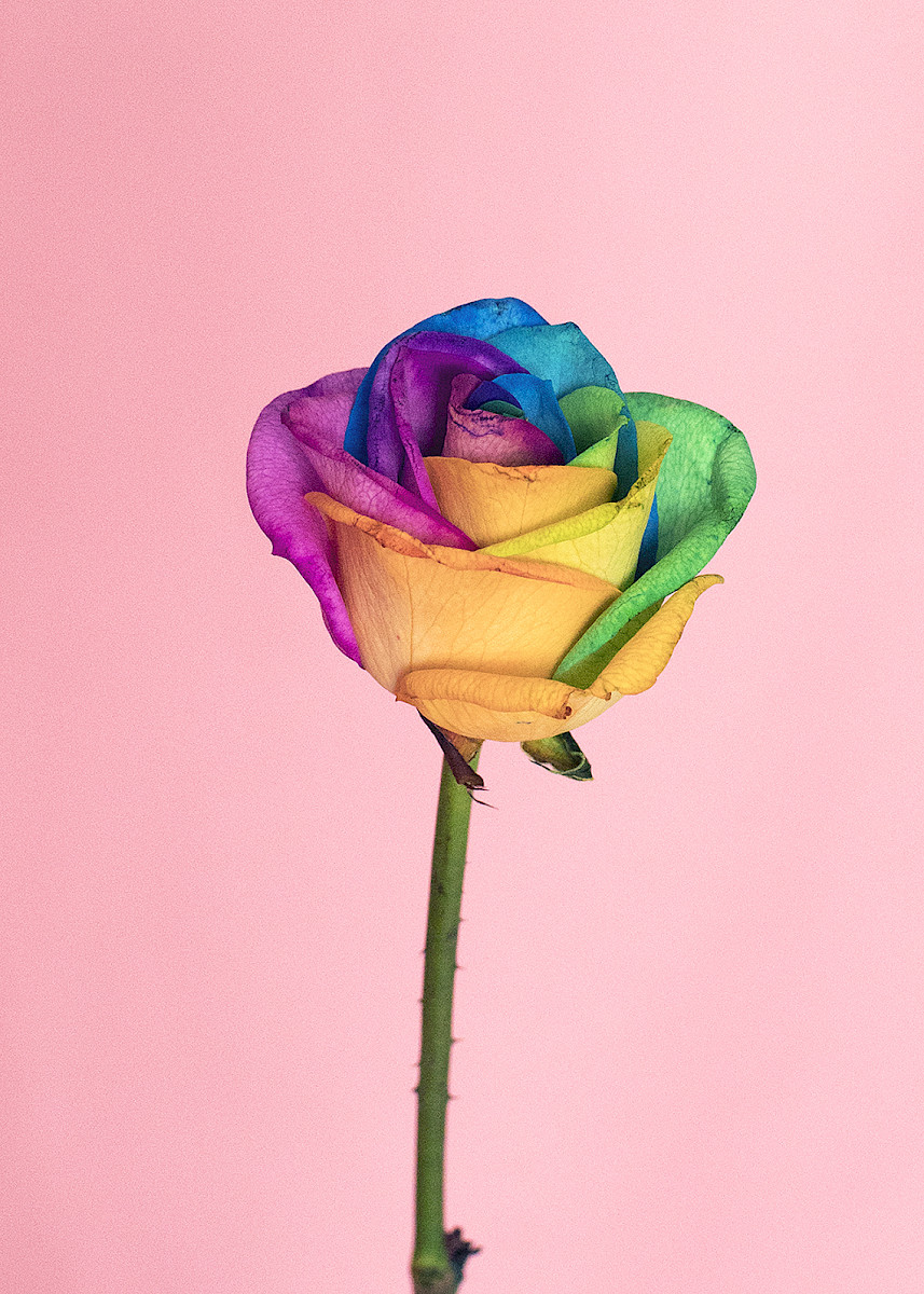 Nature and Circum&shy;stance 1