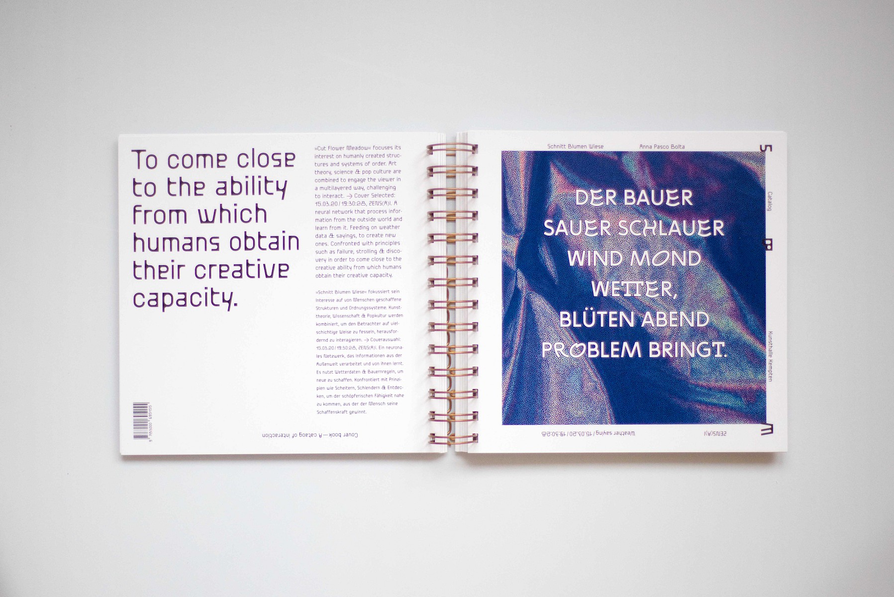 Schnitt&shy;blumen&shy;wiese 1