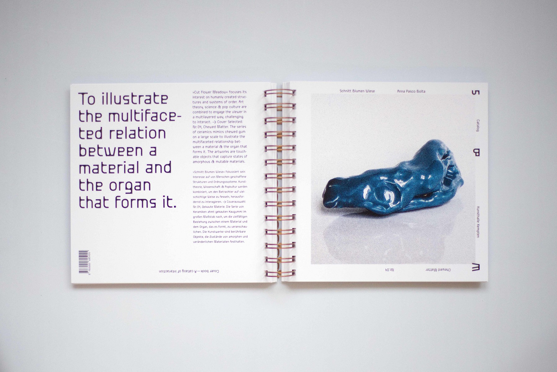 Schnitt&shy;blumen&shy;wiese 1