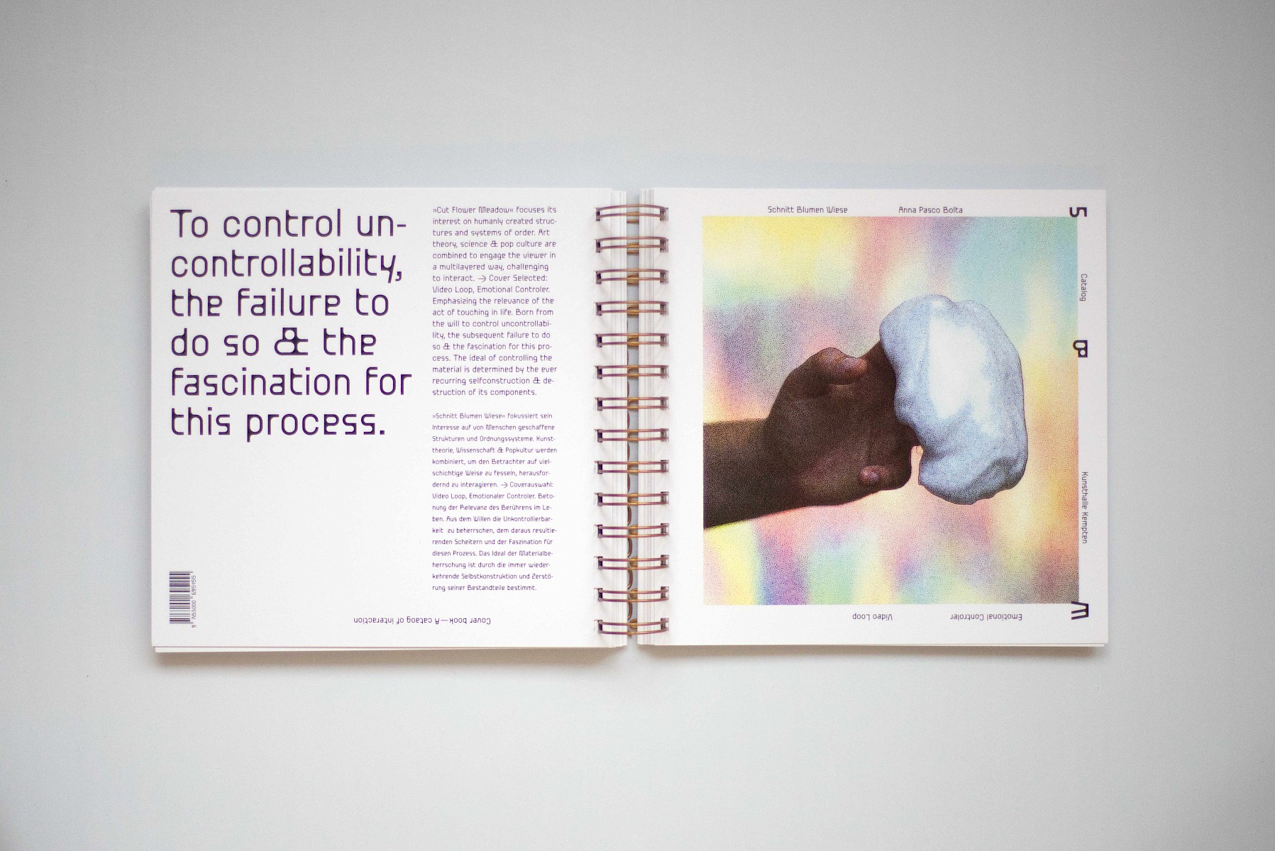 Schnitt&shy;blumen&shy;wiese 1