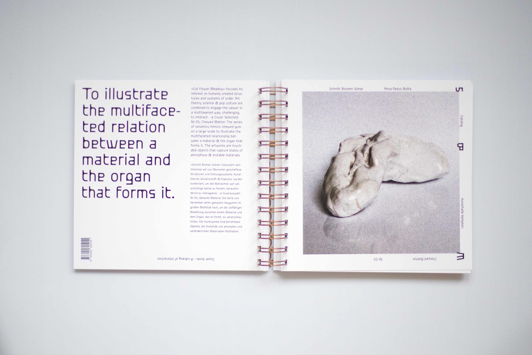 Schnitt&shy;blumen&shy;wiese 2