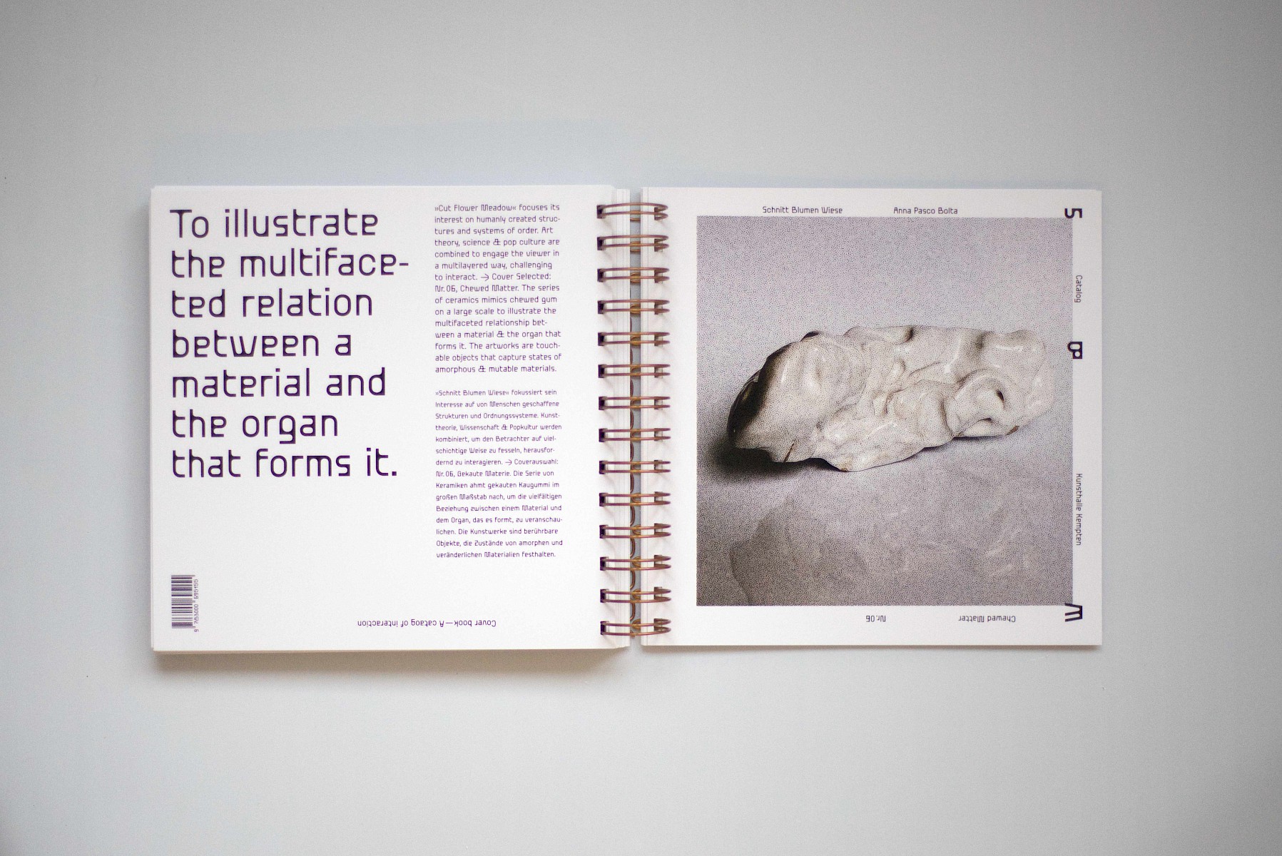 Schnitt&shy;blumen&shy;wiese 1