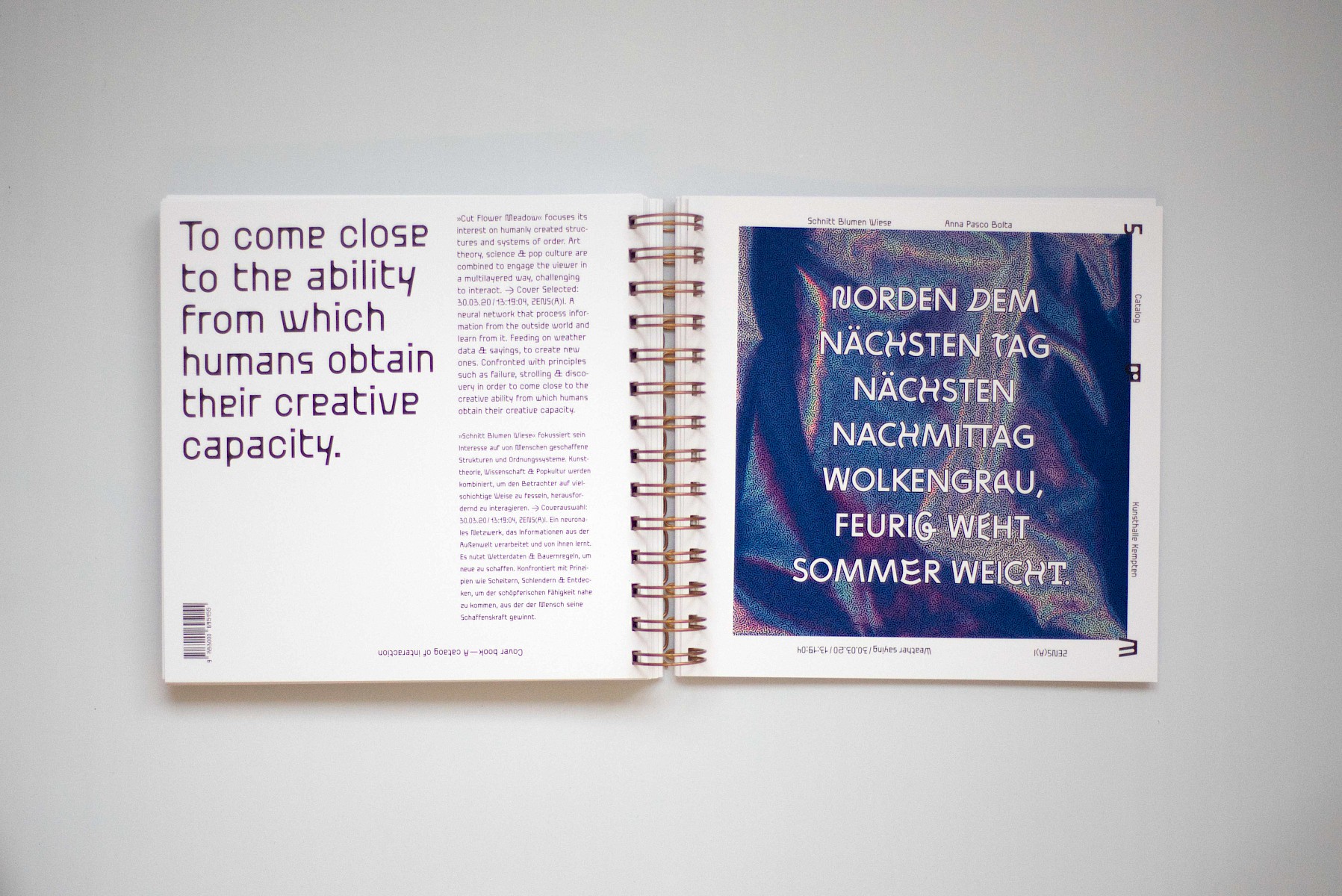 Schnitt&shy;blumen&shy;wiese 2